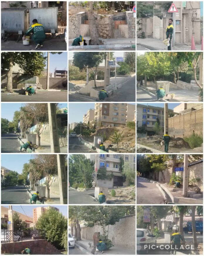 ادامه طرح طعمه گذاري حيوانات موذي در شهر رودهن