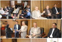 تجلیل مسئولین از کتابداران مرکز مطالعات و تحقیقات شهرداری رودهن